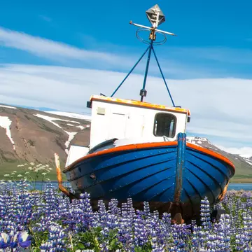 Pingeyri town, Westfjord, Iceland