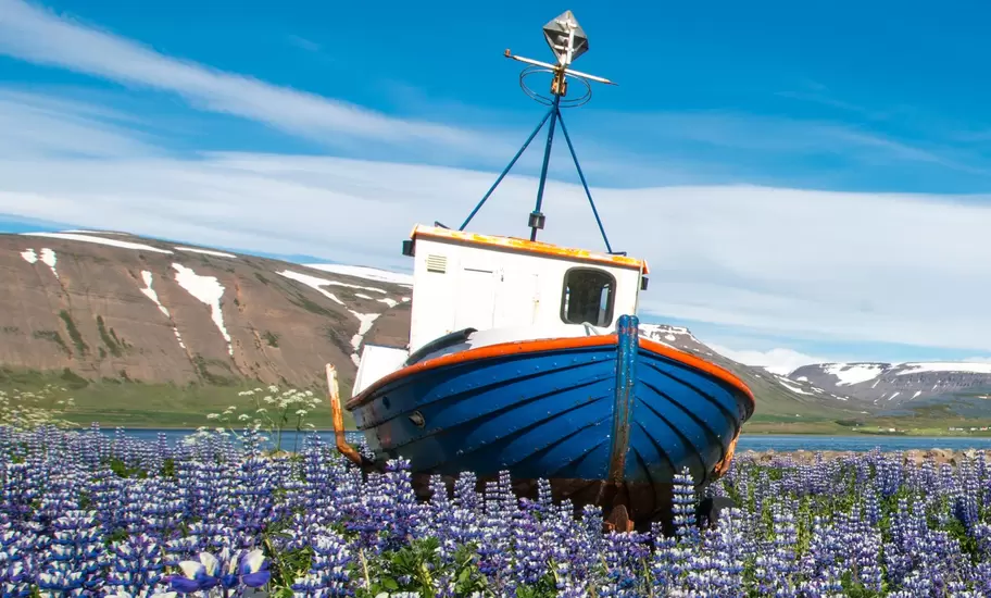Pingeyri town, Westfjord, Iceland