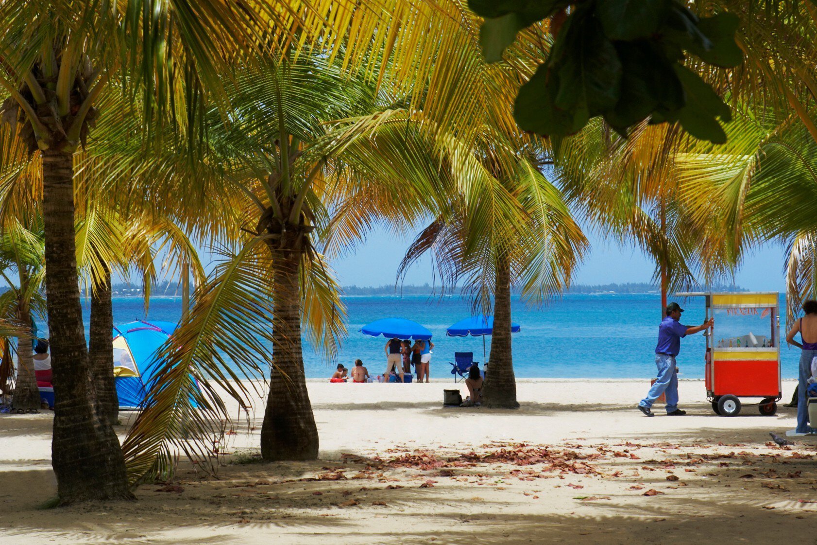 Palm trees on the beach, Luquillo Beach, Puerto Rico