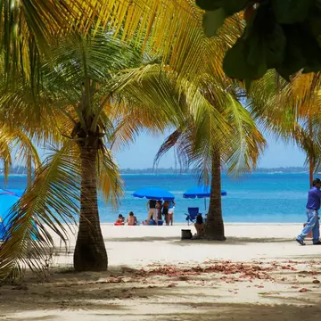 Palm trees on the beach, Luquillo Beach, Puerto Rico