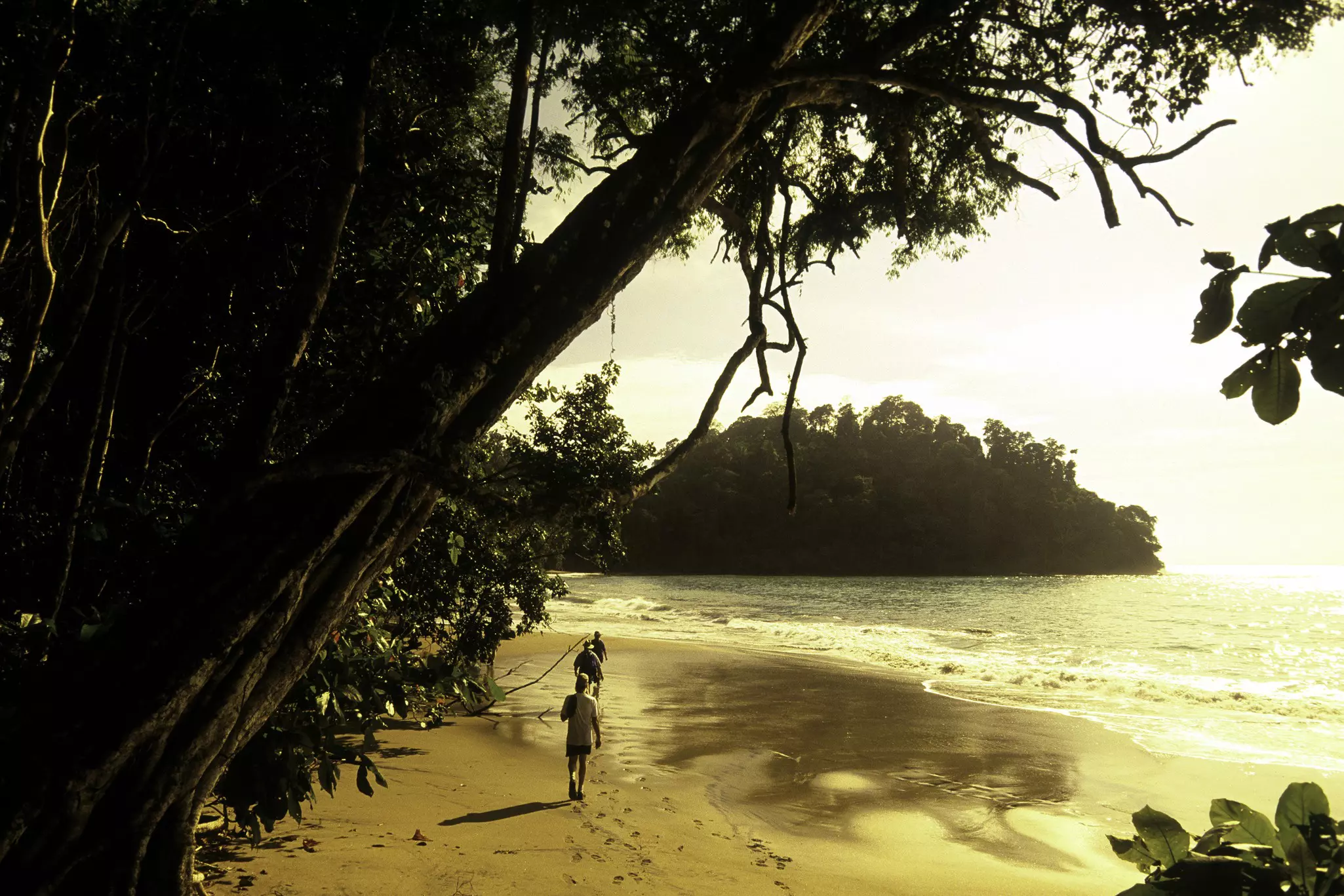 Three hikers walk along a beach with golden sands backed by jungle.