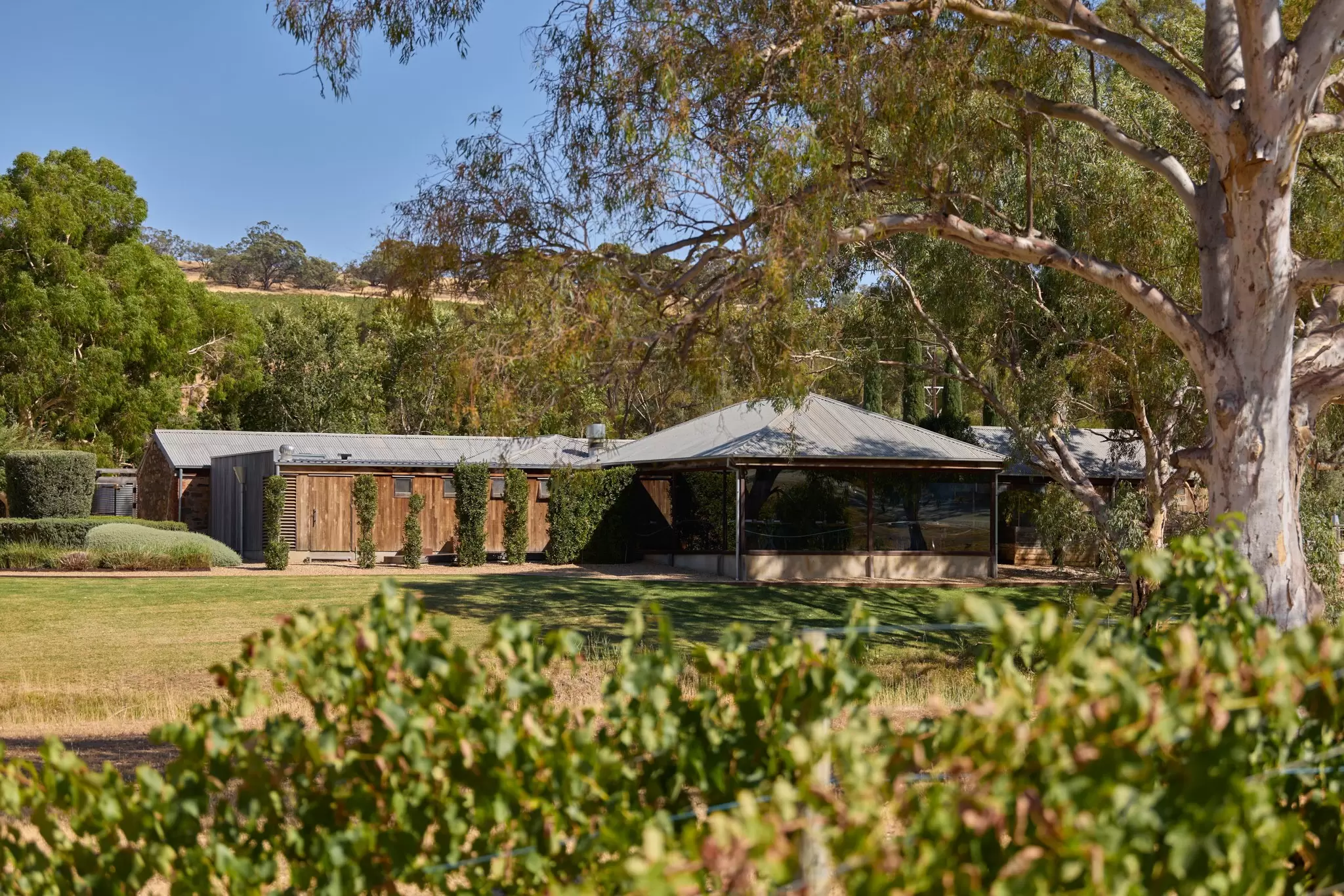 Pickup images via Pia
For sponsored article: How to plan a South Australia wine vacation
Credit: Hentley Farm