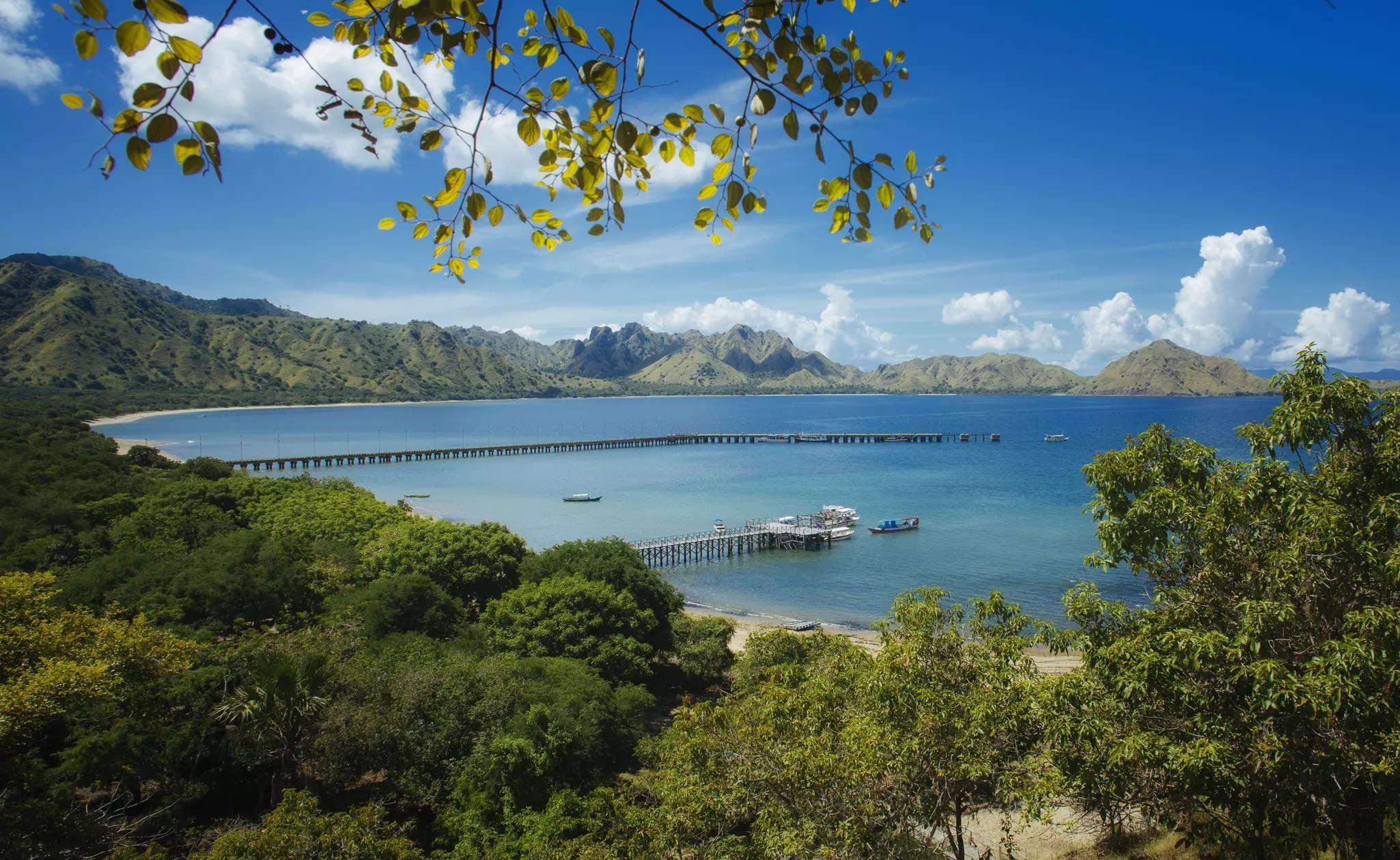 Komodo Island, Indonesia.