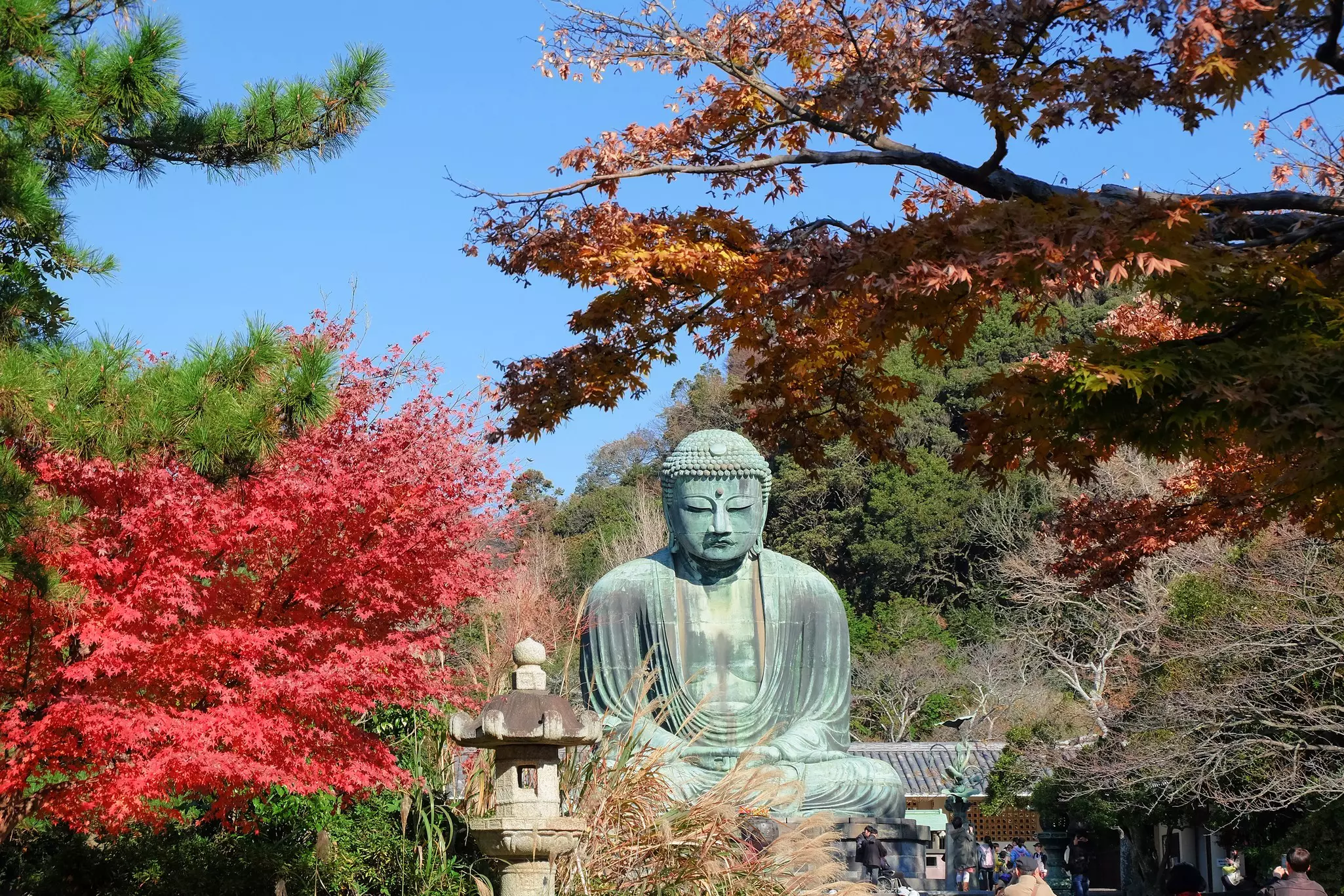 A large cast-metal sculpture of the Buddha is surrounded by trees showing fall foliage.