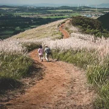 The Jeju Olle Trail. e5can/Shutterstock