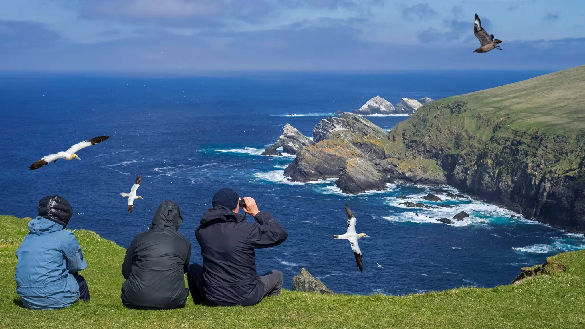 From whale watching to birding, Scotland's Highlands and Islands are alive with wildlife experiences. Philippe Clement/Shutterstock