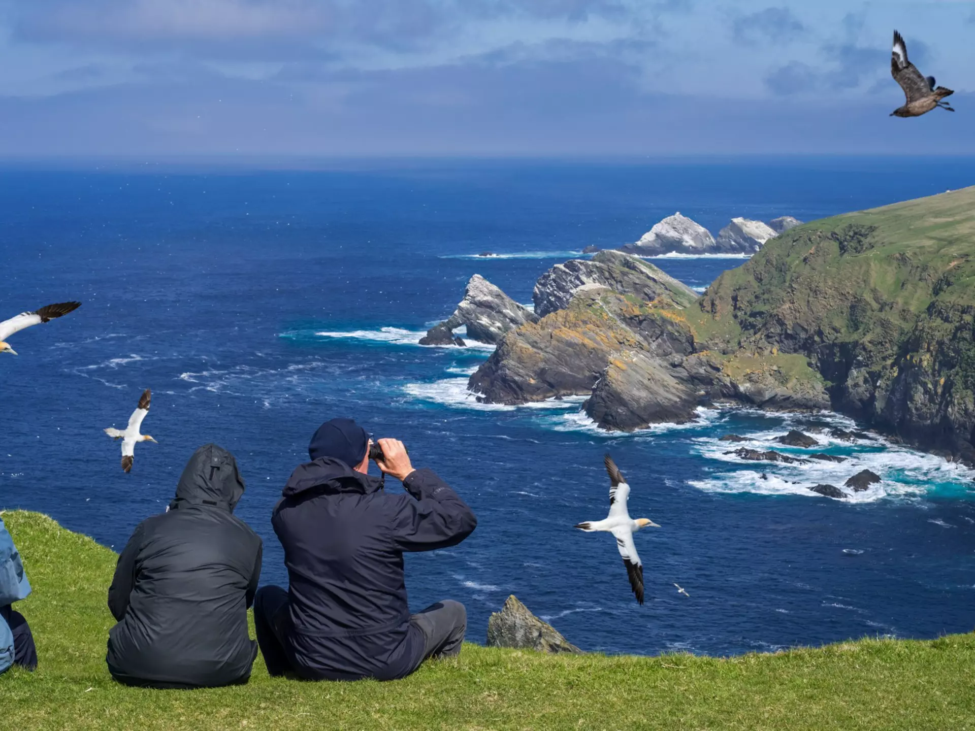 From whale watching to birding, Scotland's Highlands and Islands are alive with wildlife experiences. Philippe Clement/Shutterstock