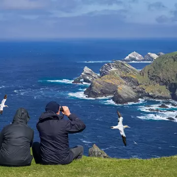 From whale watching to birding, Scotland's Highlands and Islands are alive with wildlife experiences. Philippe Clement/Shutterstock