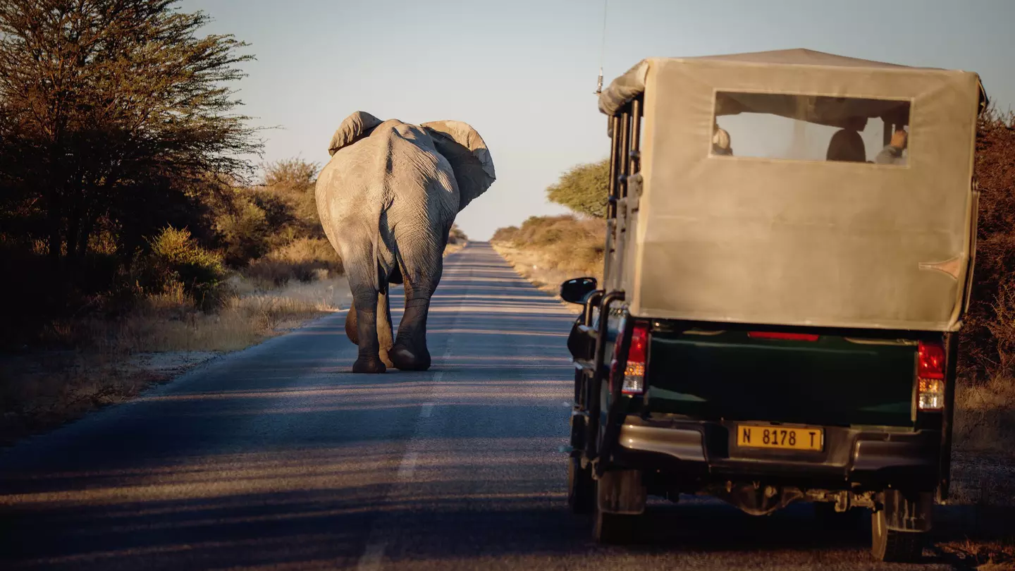 Getting around Namibia is guaranteed to be an adventure © Fotografie-Kuhlmann / Shutterstock