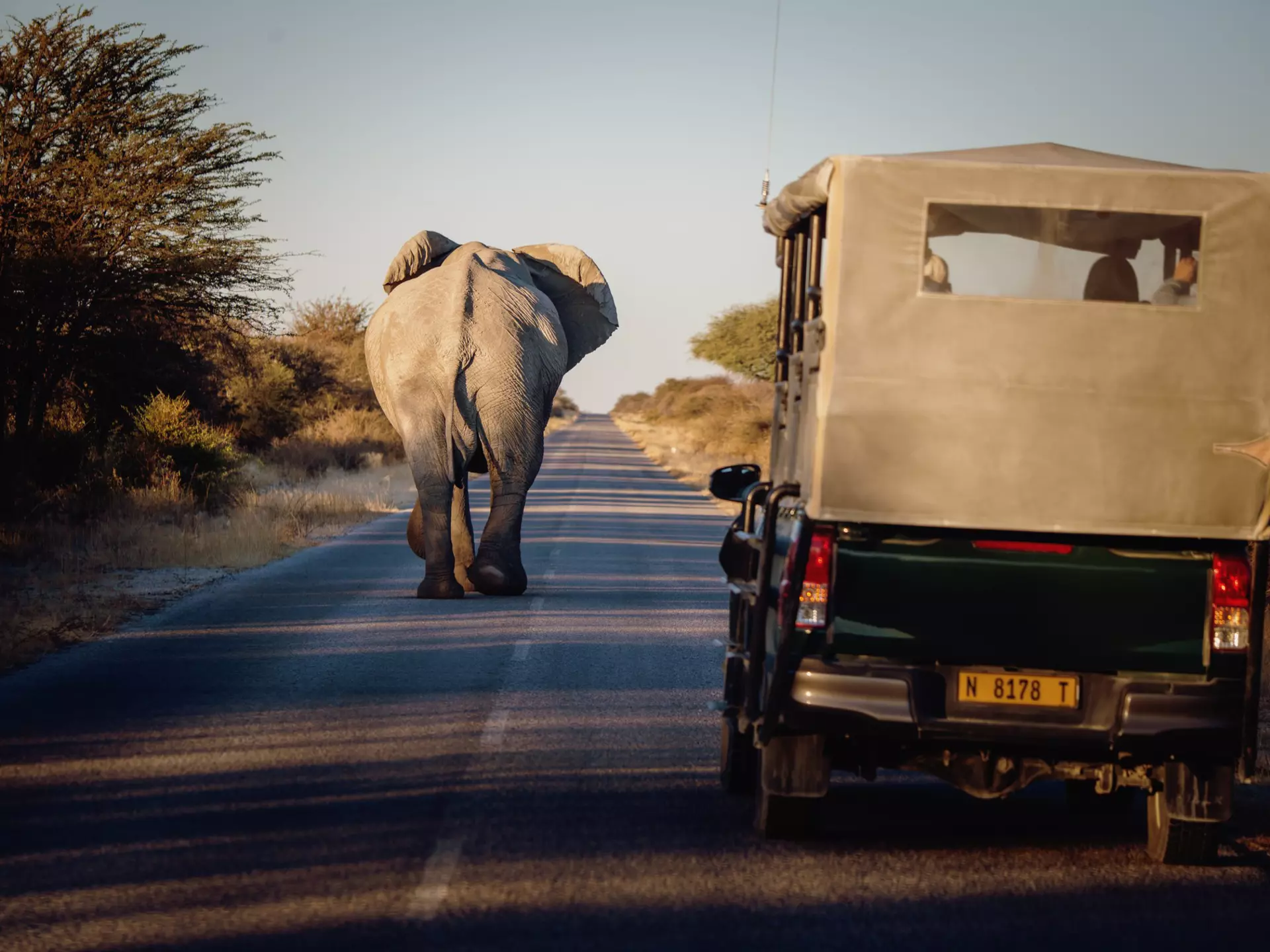 Getting around Namibia is guaranteed to be an adventure © Fotografie-Kuhlmann / Shutterstock