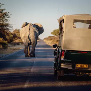 Getting around Namibia is guaranteed to be an adventure © Fotografie-Kuhlmann / Shutterstock