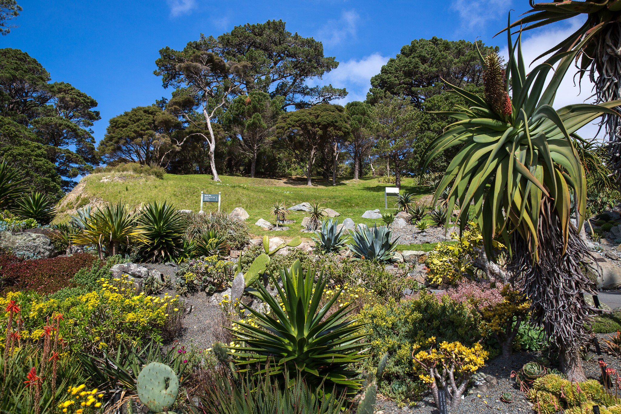View of Wellington Botanic Garden.  License Type: media  Download Time: 2023-05-12T08:33:51.000Z  User: mvm_lonelyplanet  Is Editorial: No  purchase_order: