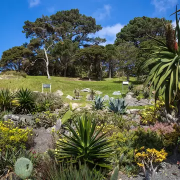 View of Wellington Botanic Garden.  License Type: media  Download Time: 2023-05-12T08:33:51.000Z  User: mvm_lonelyplanet  Is Editorial: No  purchase_order:
