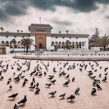 Pigeons on the paved Place Mohammed V in Casablanca with a fountain and the arcaded Palais de Justice behind