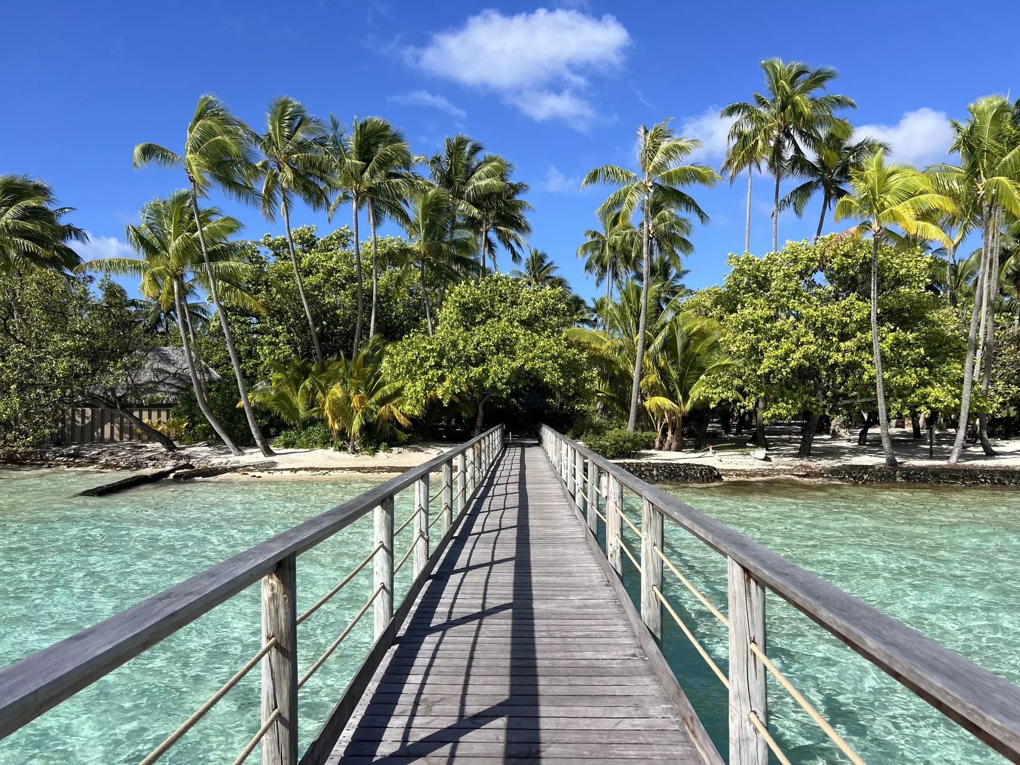 The boardwalk to the overwater bungalows at Le Taha'a by Pearl Resorts with trees in the background and a blue sky above