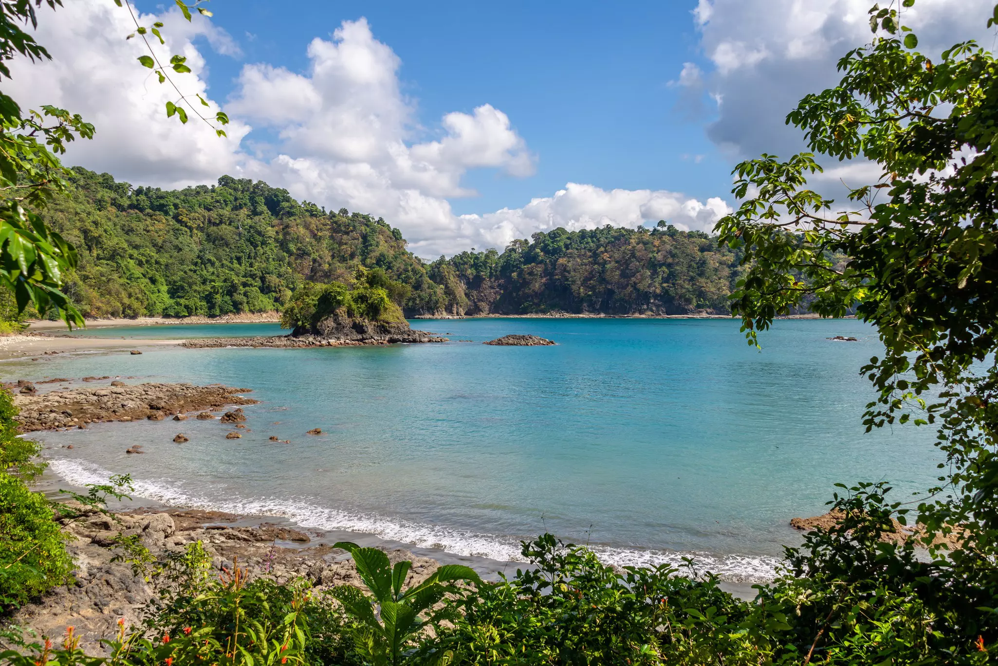 Rocky beach surrounded by plants and trees