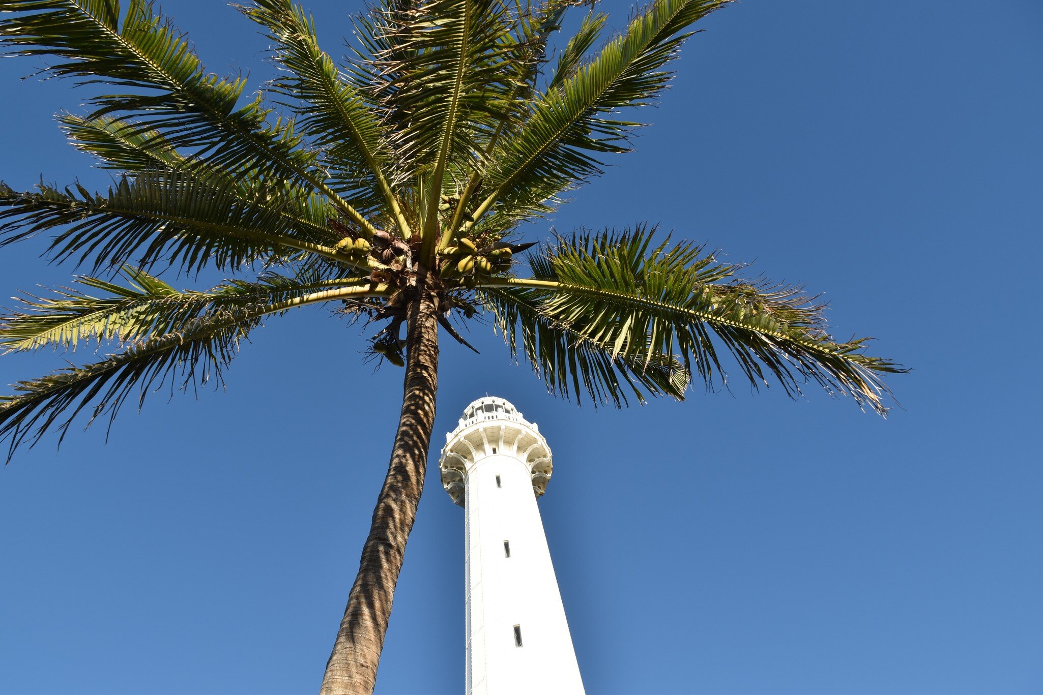 Phare Amédée lighthouse in New Caledonia with palm tree, License Type: media, Download Time: 2025-05-29T18:48:28.000Z, User: lonelyplanetmedia, Editorial: false, purchase_order: 65050 - Digital Destinations and Articles, job: Global Publishing WIP, client: Global Publishing WIP, other: Peterson Haggarty // SS Comp Ingestion