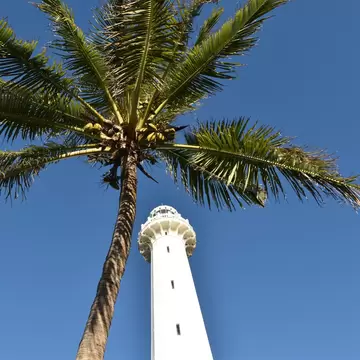 Phare Amédée lighthouse in New Caledonia with palm tree, License Type: media, Download Time: 2025-05-29T18:48:28.000Z, User: lonelyplanetmedia, Editorial: false, purchase_order: 65050 - Digital Destinations and Articles, job: Global Publishing WIP, client: Global Publishing WIP, other: Peterson Haggarty // SS Comp Ingestion