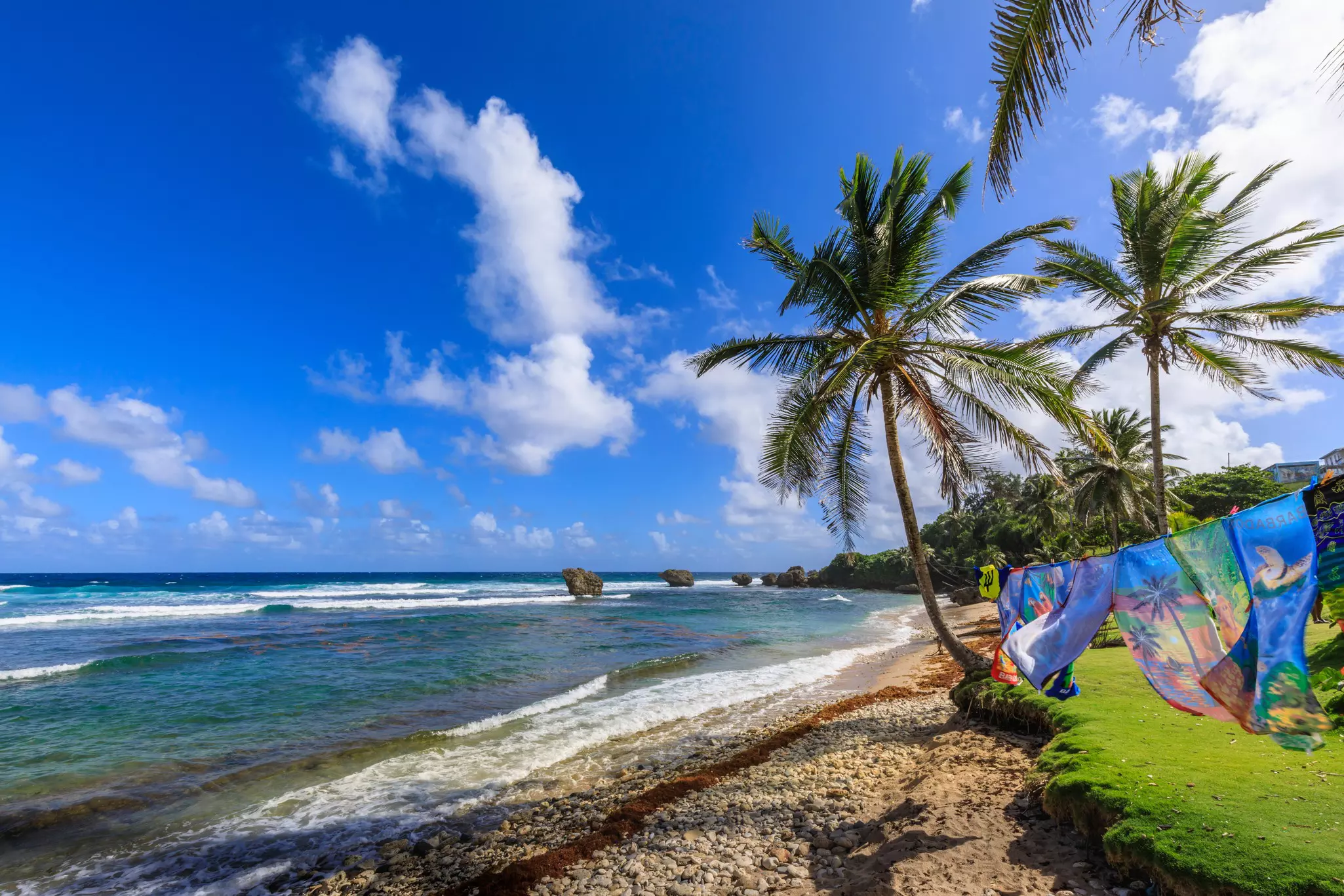 Windswept palm trees and colourful Barbados print towels blowing in the breeze at Bathsheba beach in Barbados