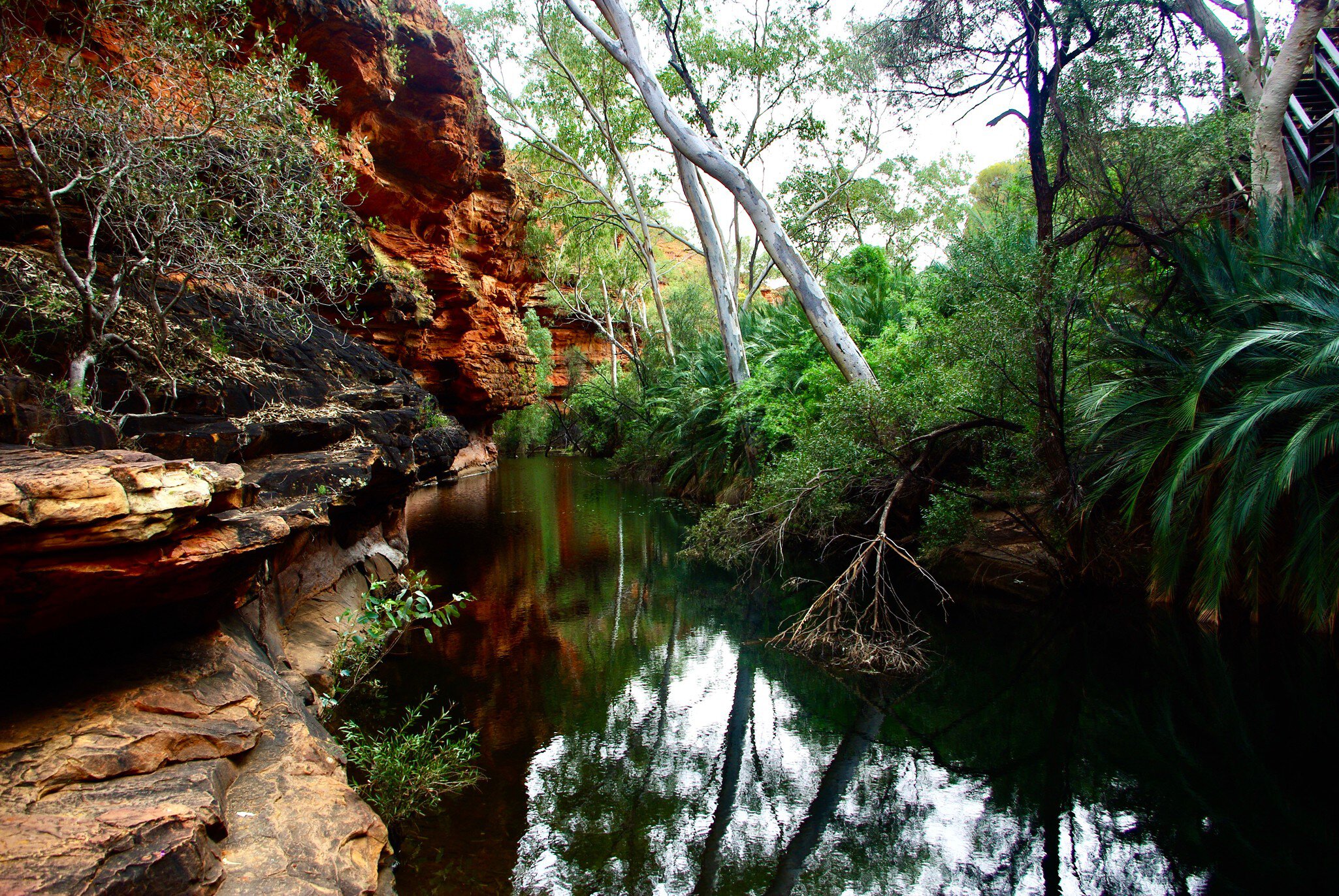Kings Canyon Garden Of Eden colourful pool with rocks and trees in Watarrka National Park, NT, Australia.