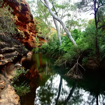 Kings Canyon Garden Of Eden colourful pool with rocks and trees in Watarrka National Park, NT, Australia.