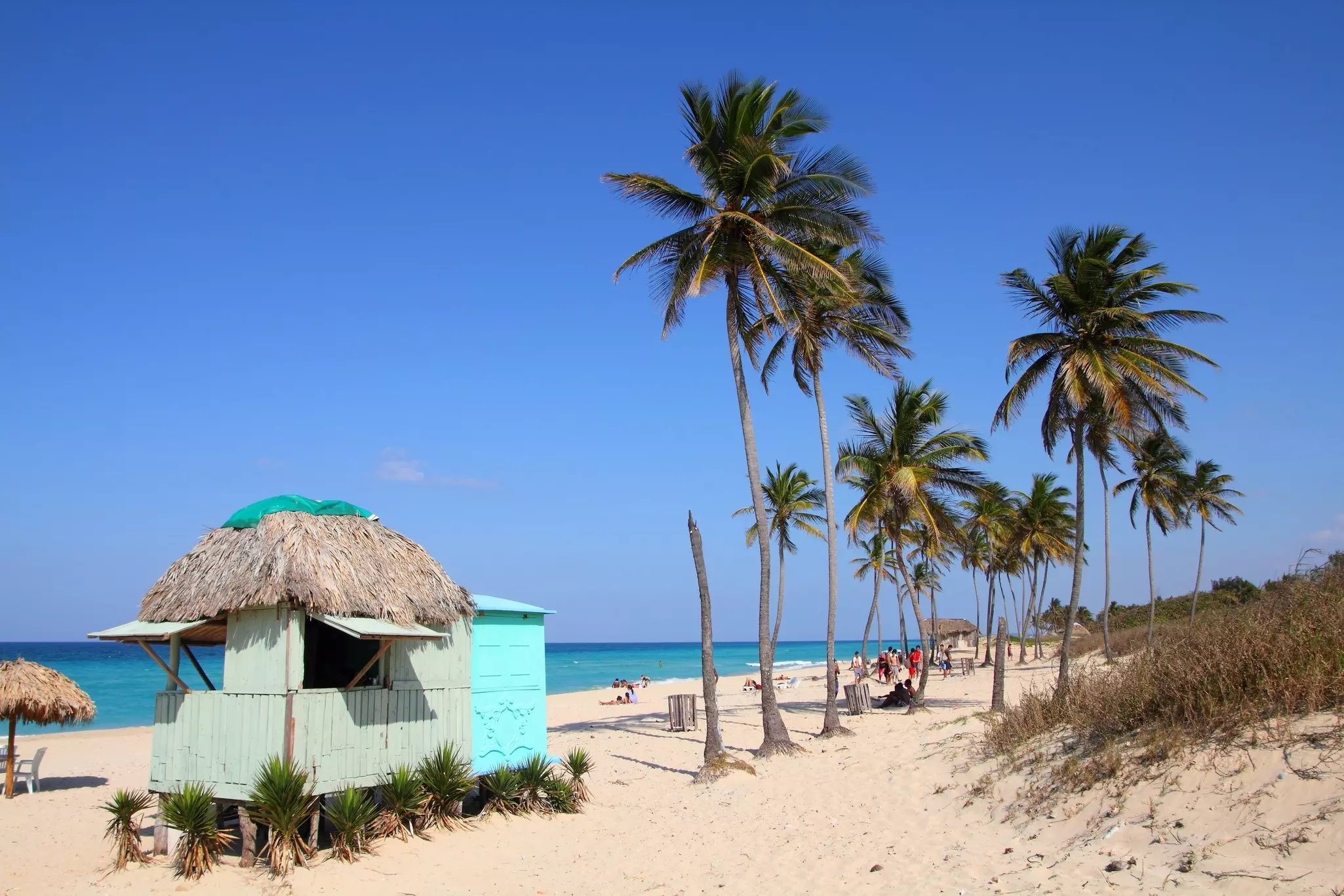 A sandy beach with a handul of huts and several palm trees on a sunny day.