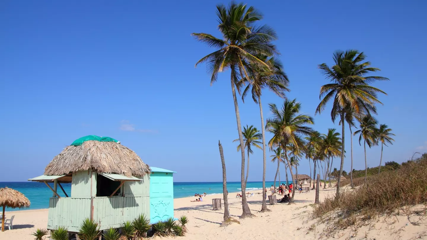 A sandy beach with a handul of huts and several palm trees on a sunny day.