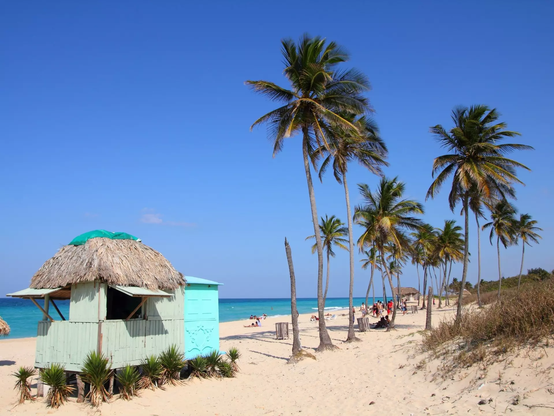 A sandy beach with a handul of huts and several palm trees on a sunny day.