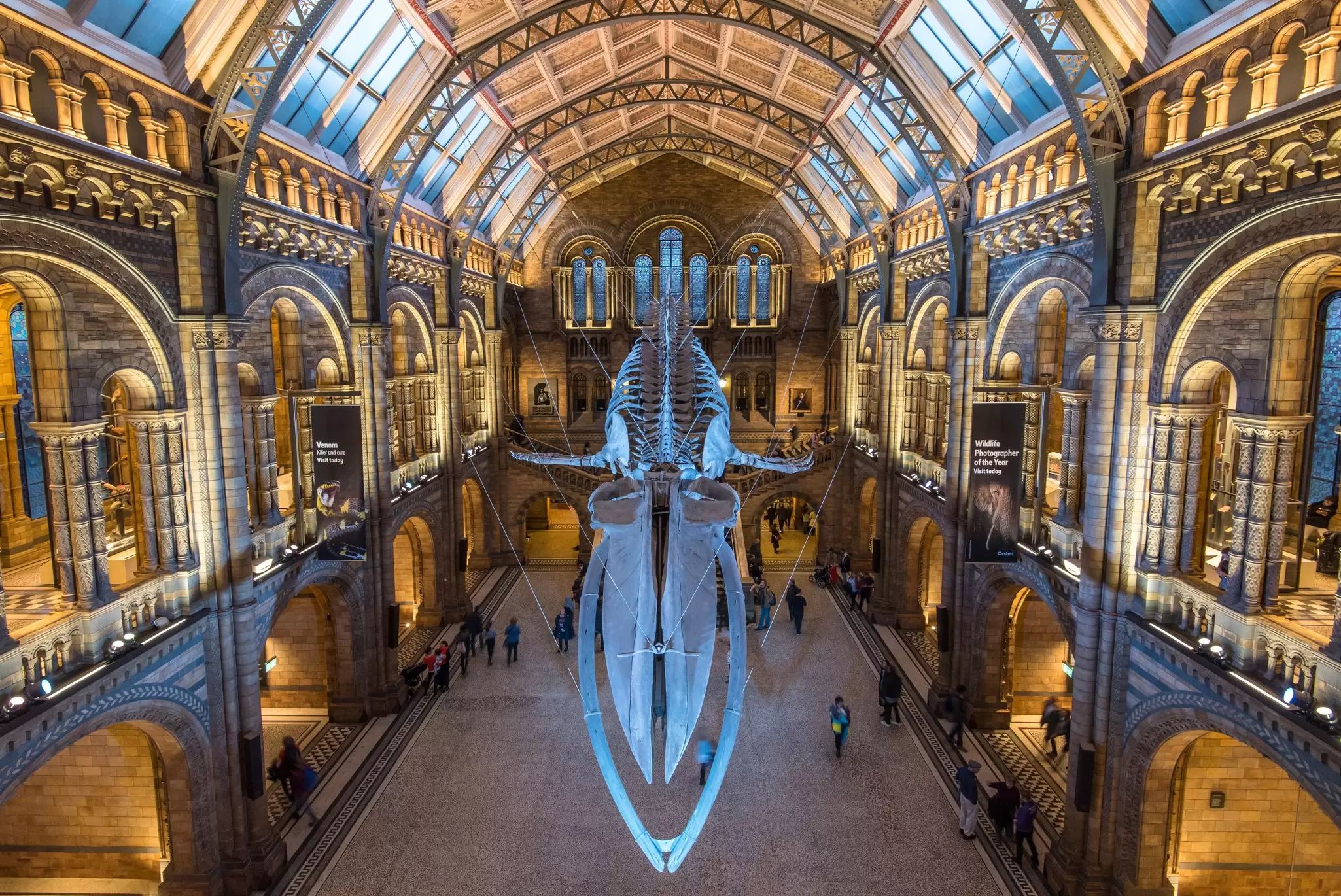 Natural History Museum in London. Sarah Smith 55/Shutterstock