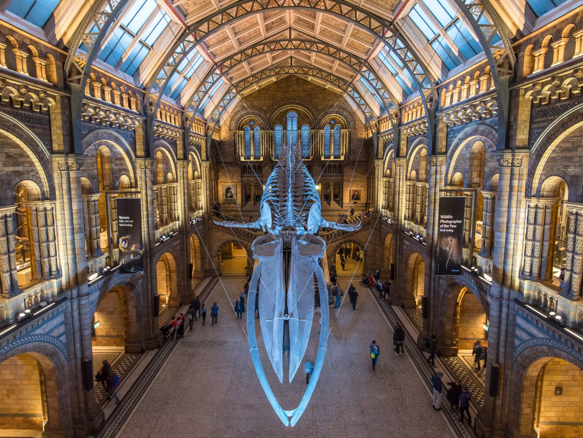 Natural History Museum in London. Sarah Smith 55/Shutterstock