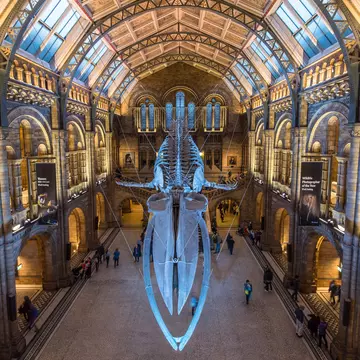 Natural History Museum in London. Sarah Smith 55/Shutterstock