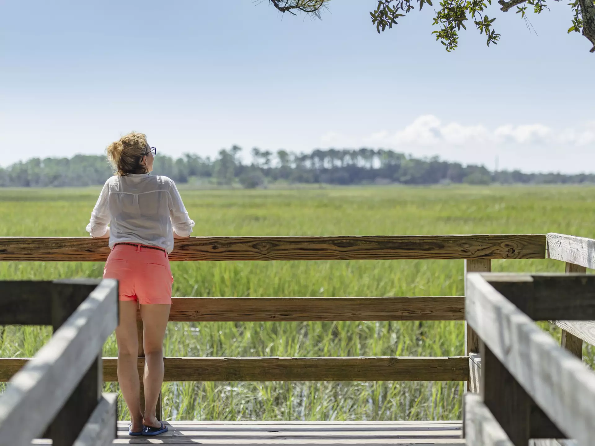 Exploring Savannah can be a surprisingly budget friendly endeavor © Nirian / Getty Images