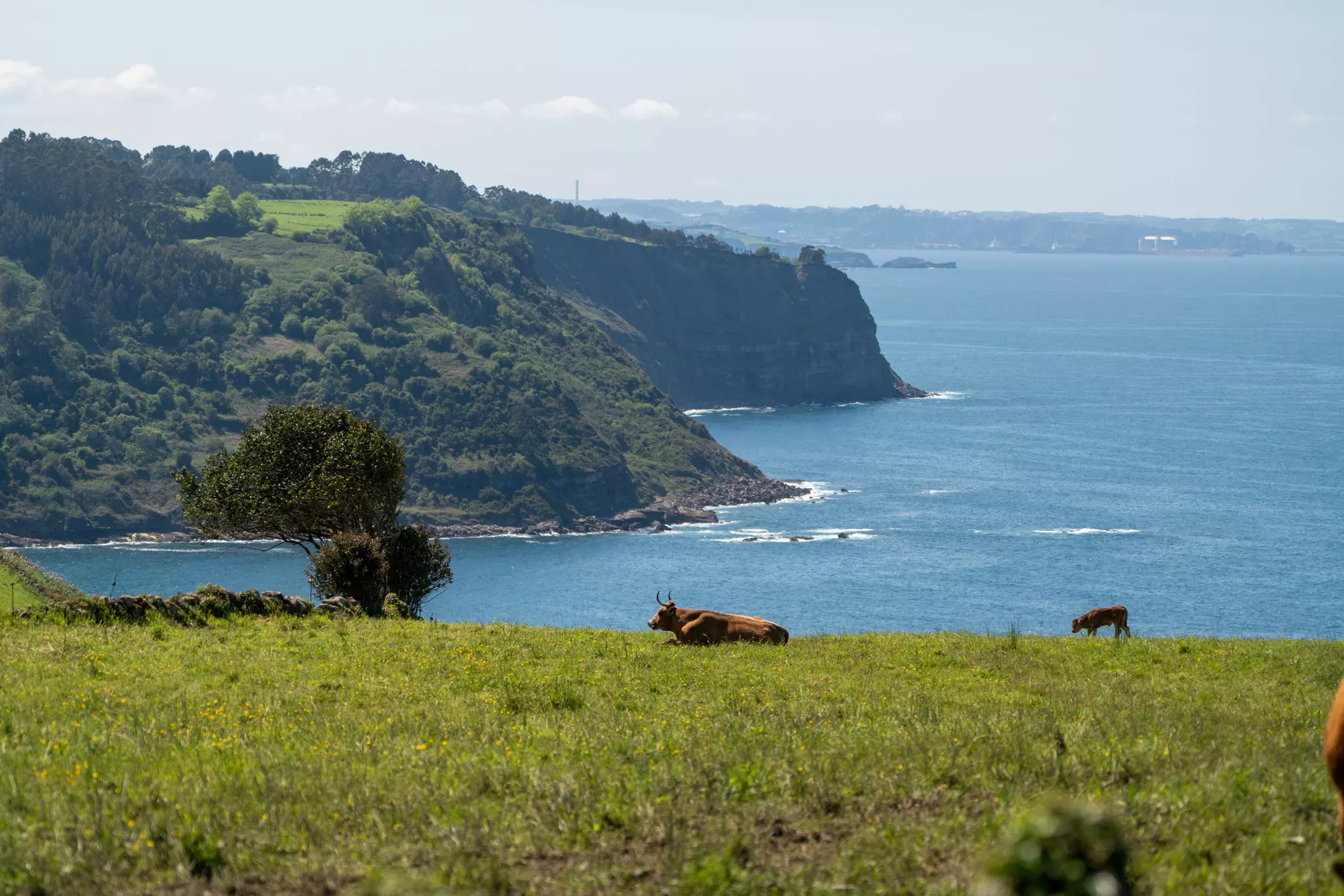 You can enjoy many of the same panoramic views on a cercanía train.