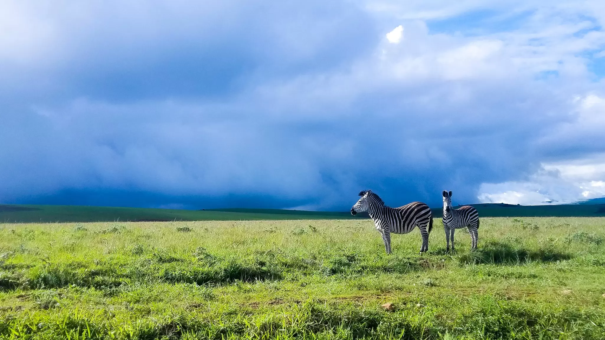 Get prepared for your visit to Malawi with these essential tips © Tukio / Shutterstock