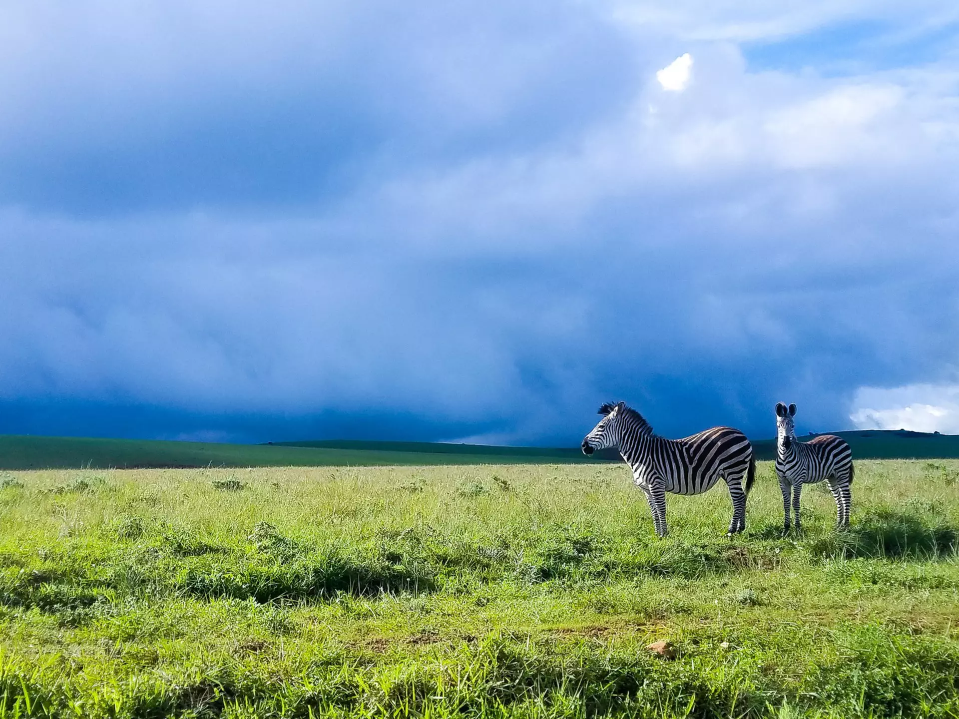 Get prepared for your visit to Malawi with these essential tips © Tukio / Shutterstock