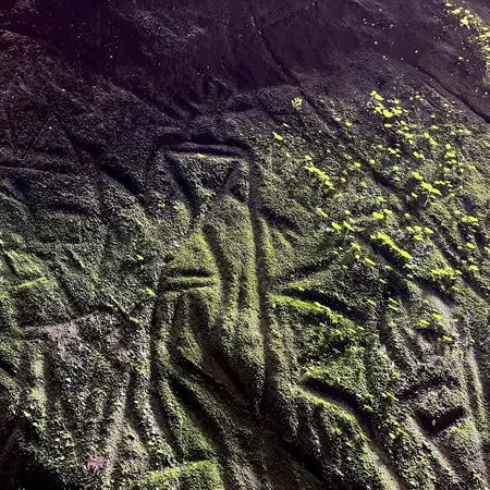 Edakkal Caves, Wayanad