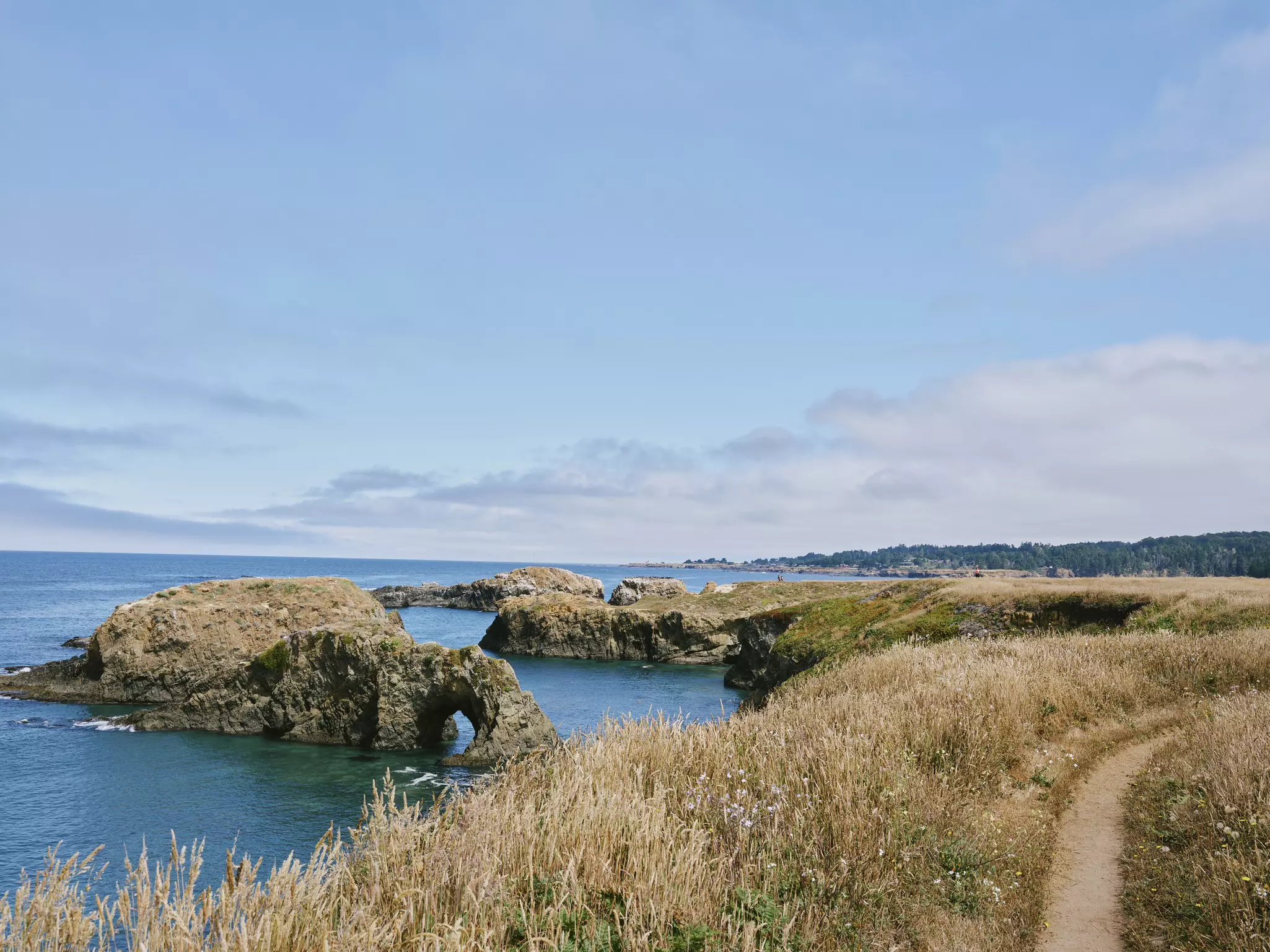 Mendocino Coast, California, July 2025.