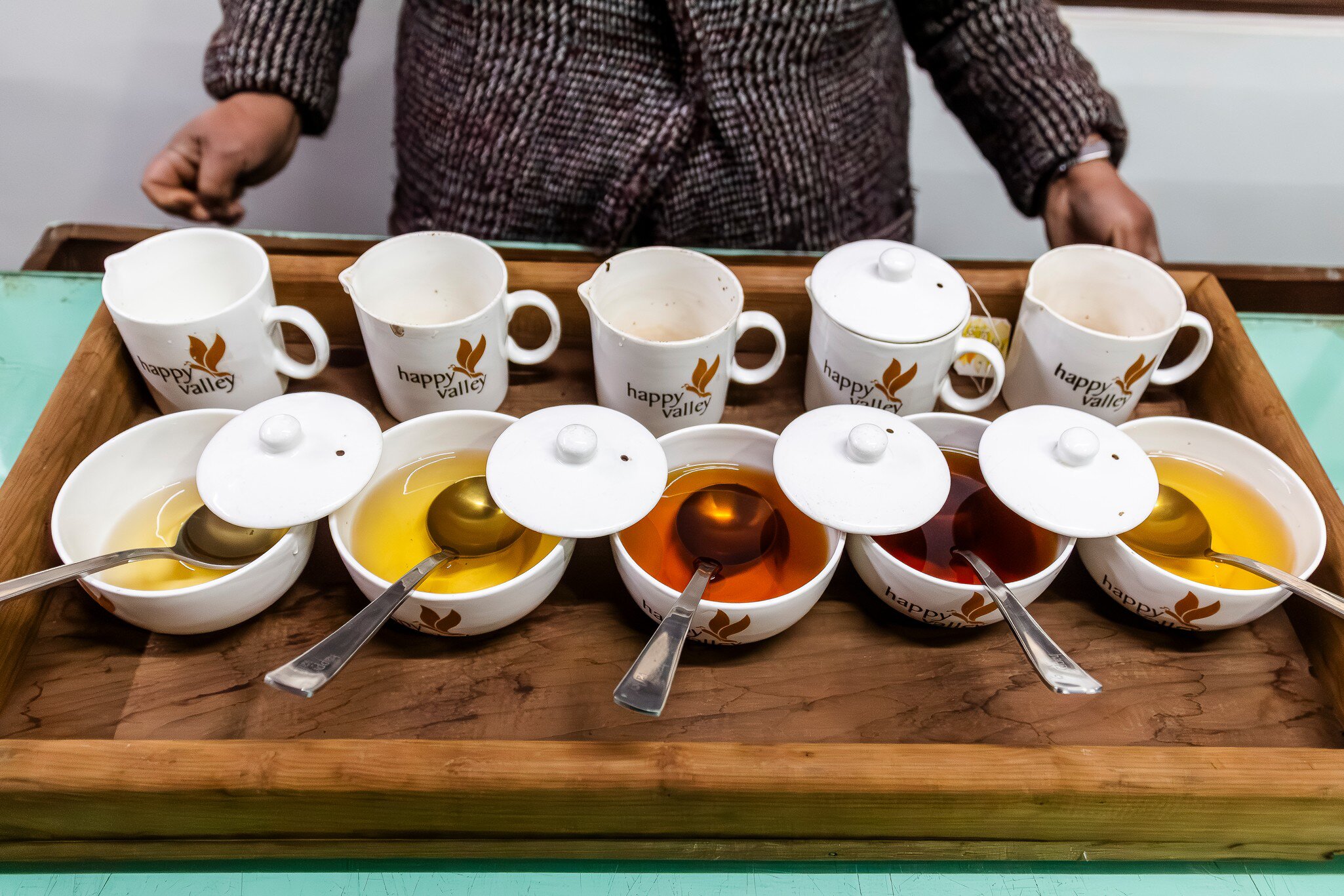 Tasting the four flushes and a green tea at Happy Valley tea estate in Darjeeling, West Bengal, India.