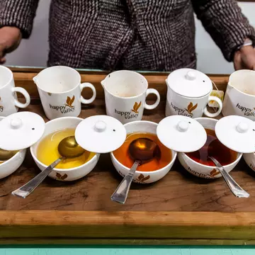Tasting the four flushes and a green tea at Happy Valley tea estate in Darjeeling, West Bengal, India.