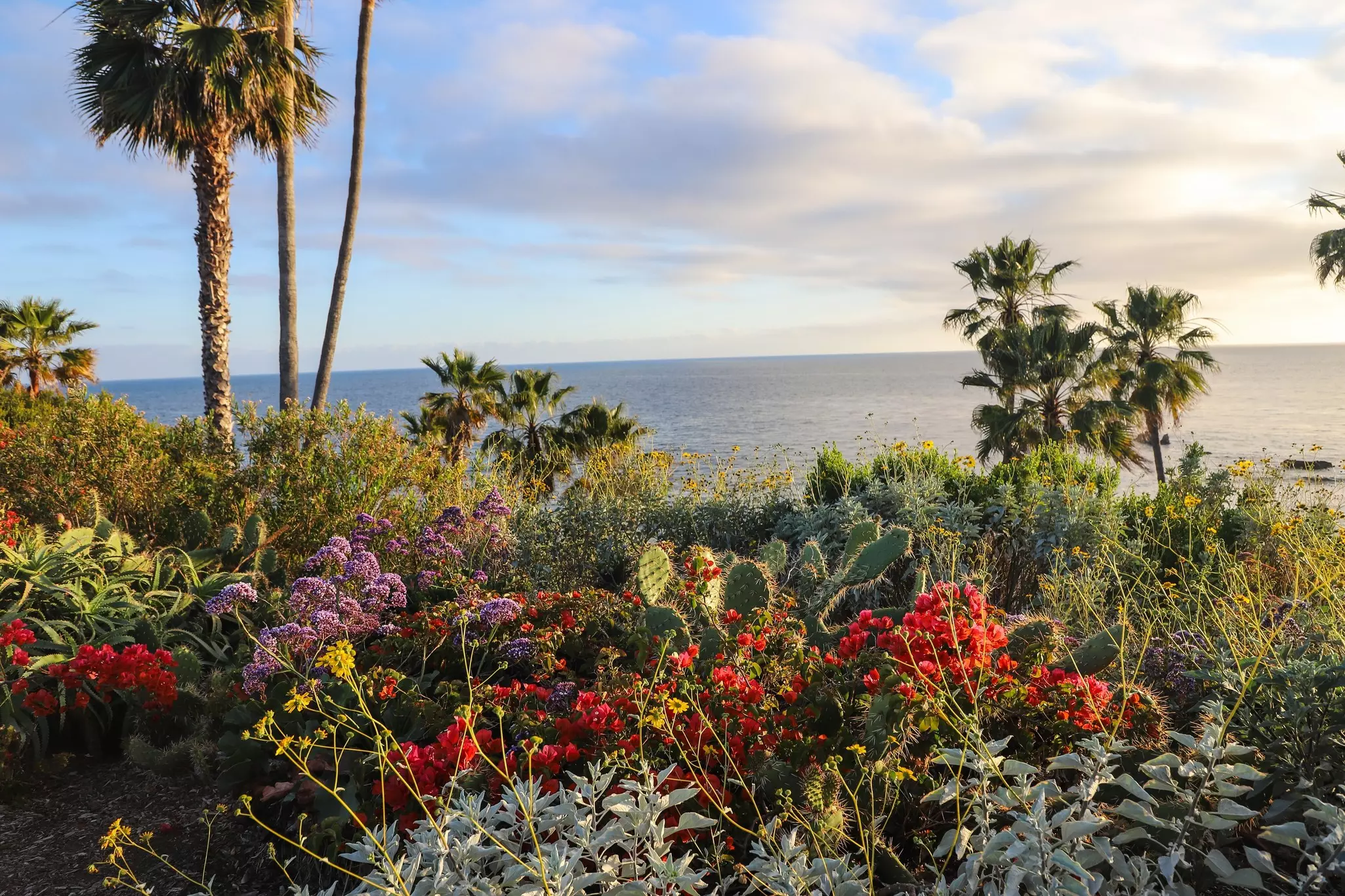 Ethnically diverse children explore tide pools with net and hats