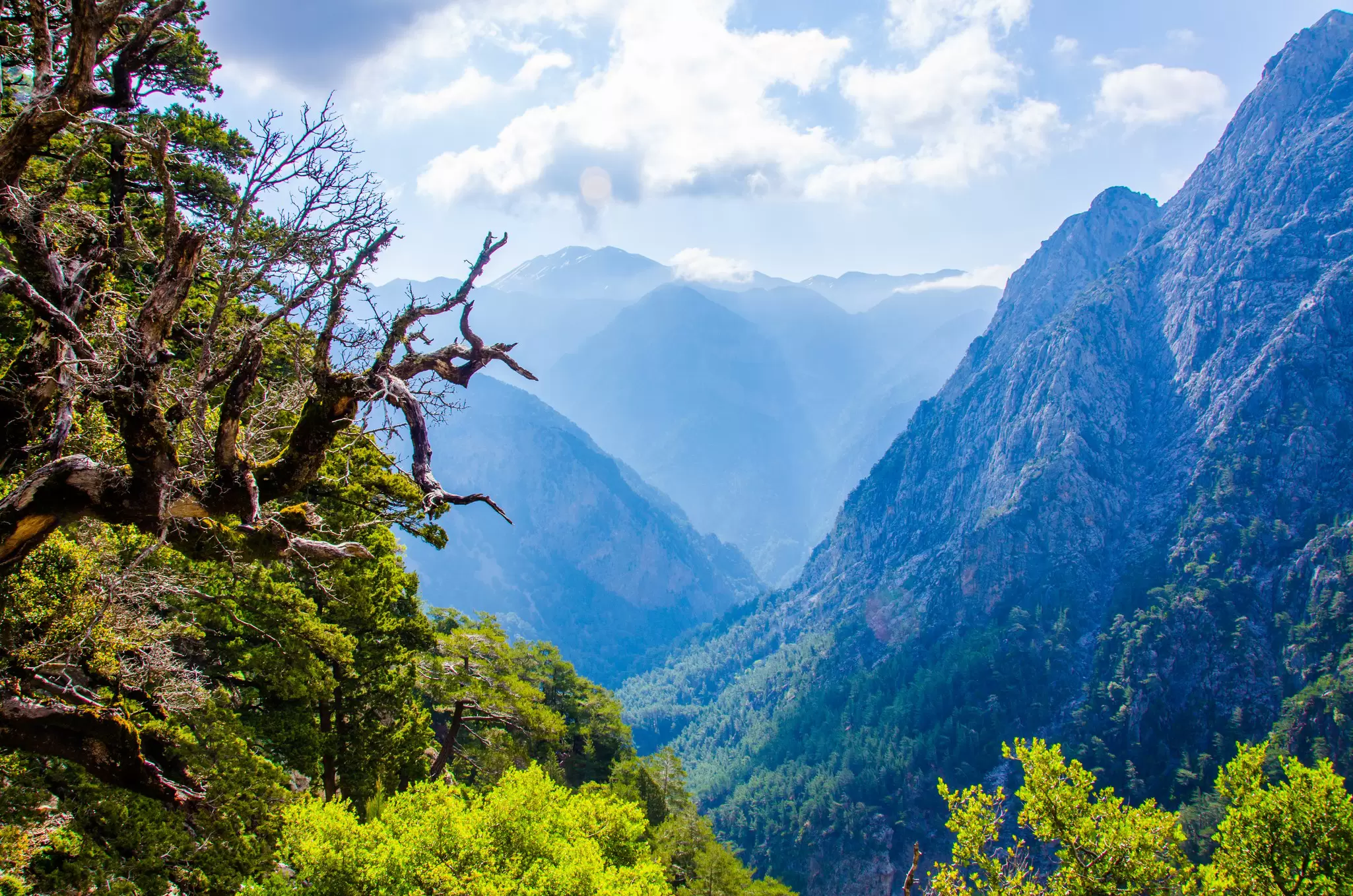 A view of a canyon on a sunny day, with hazy views of the mountain slopes beyond.