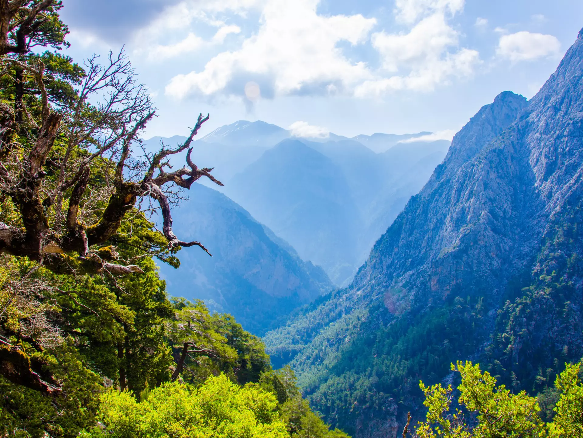 A view of a canyon on a sunny day, with hazy views of the mountain slopes beyond.