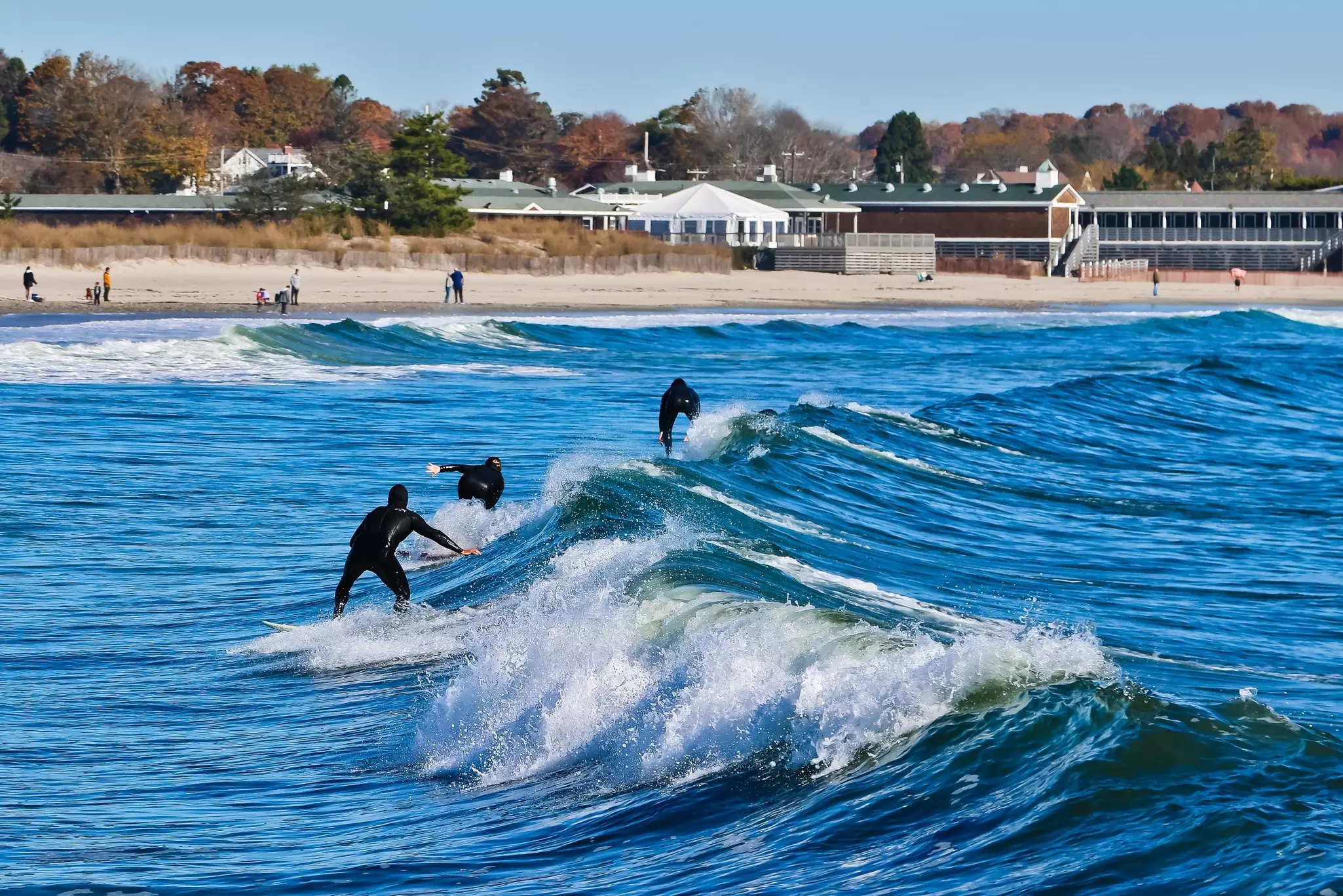Surfers wearing wetsuits riding a crashing wave; there are a few people on a sandy shore.
