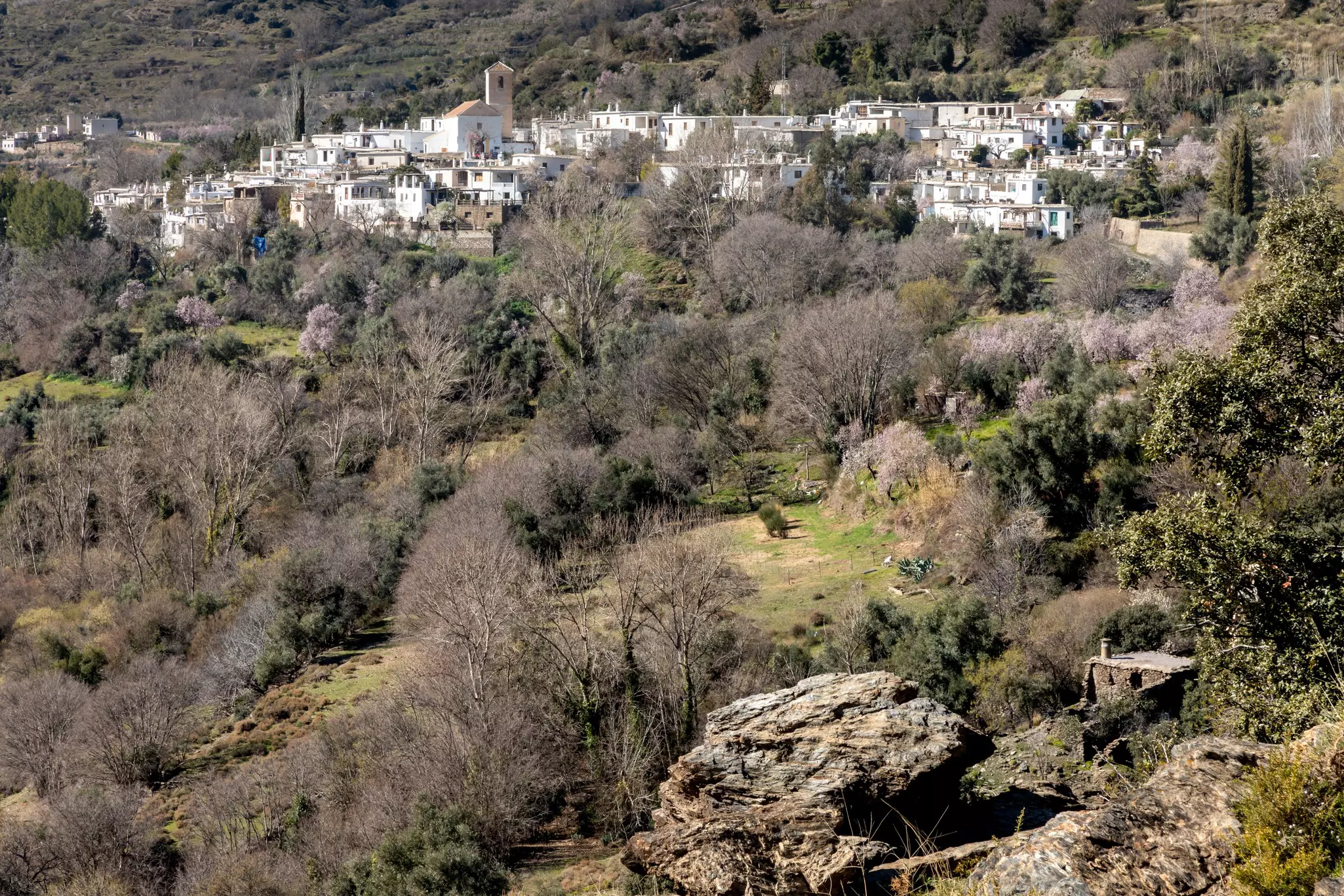 A view from the hiking path to Ferreirola, La Tahá, Spain, set amid dry forests.