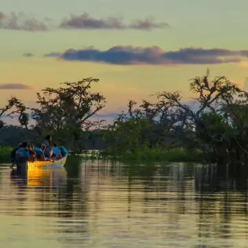 A boat full of people glides across still water at dusk past silhouetted treetops rising from the lagoon
