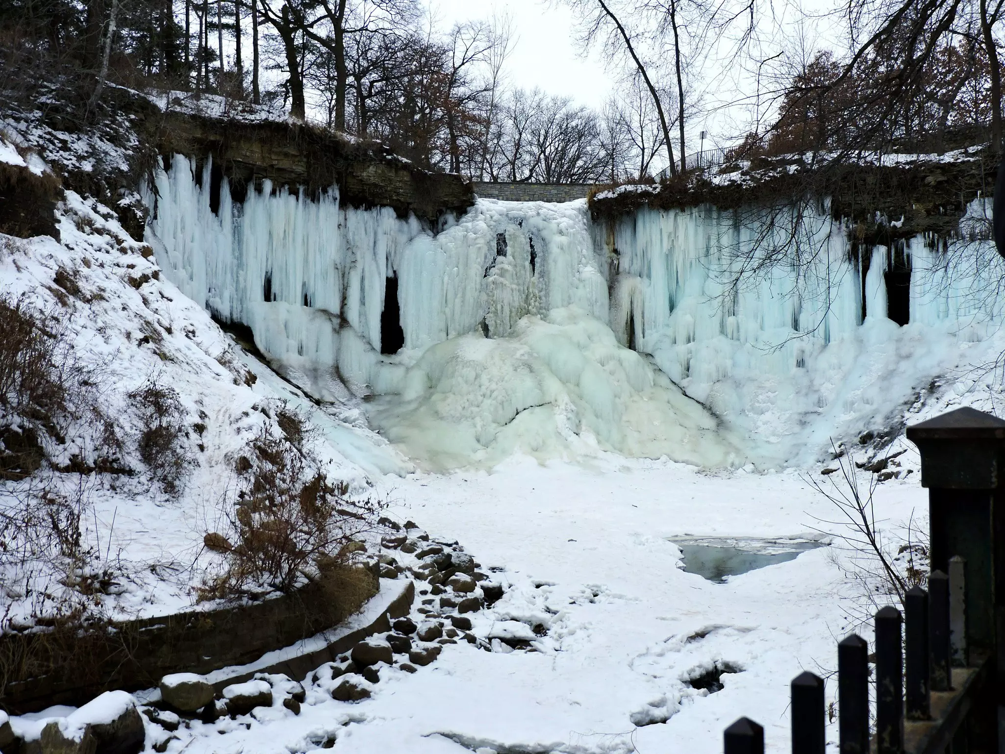 Frozen Minnehaha Falls Amidst Trees