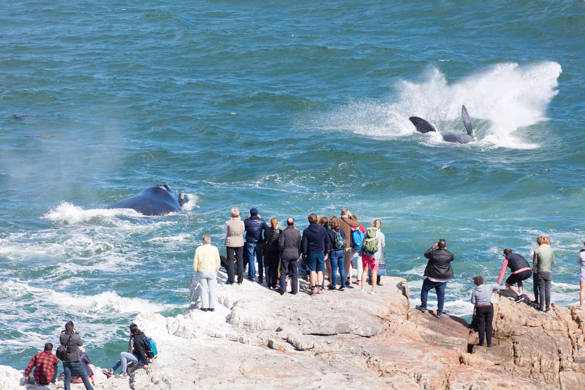 Hermanus might be the best land-based whale-watching spot in the world © Jan-Otto / Getty Images