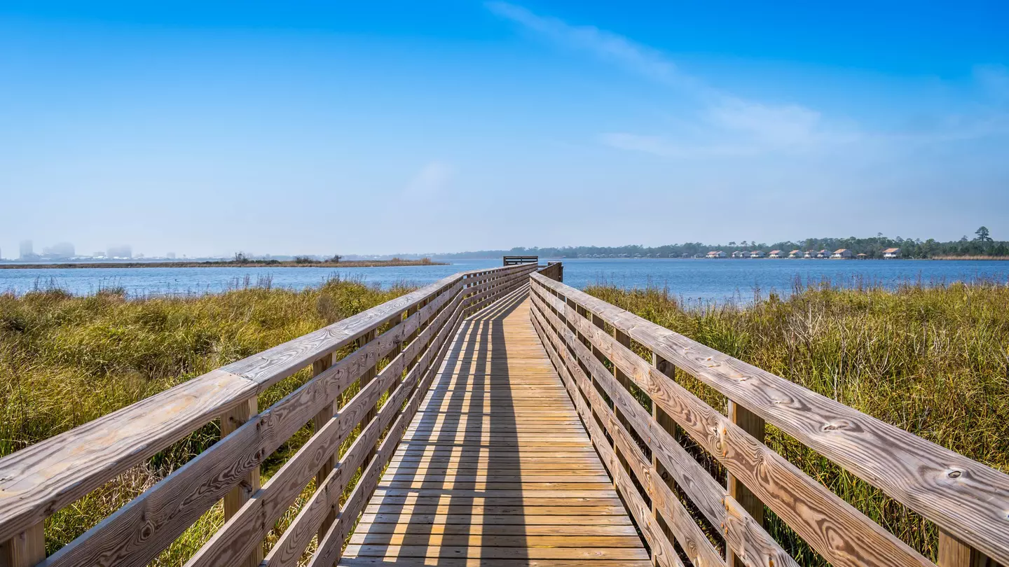 A very long boardwalk surrounded by shrubs in Gulf Shores, Alabama in Gulf Shores, Alabama