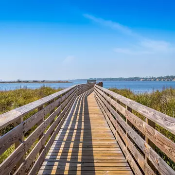 Gulf Shores. Cavan Images/Getty
