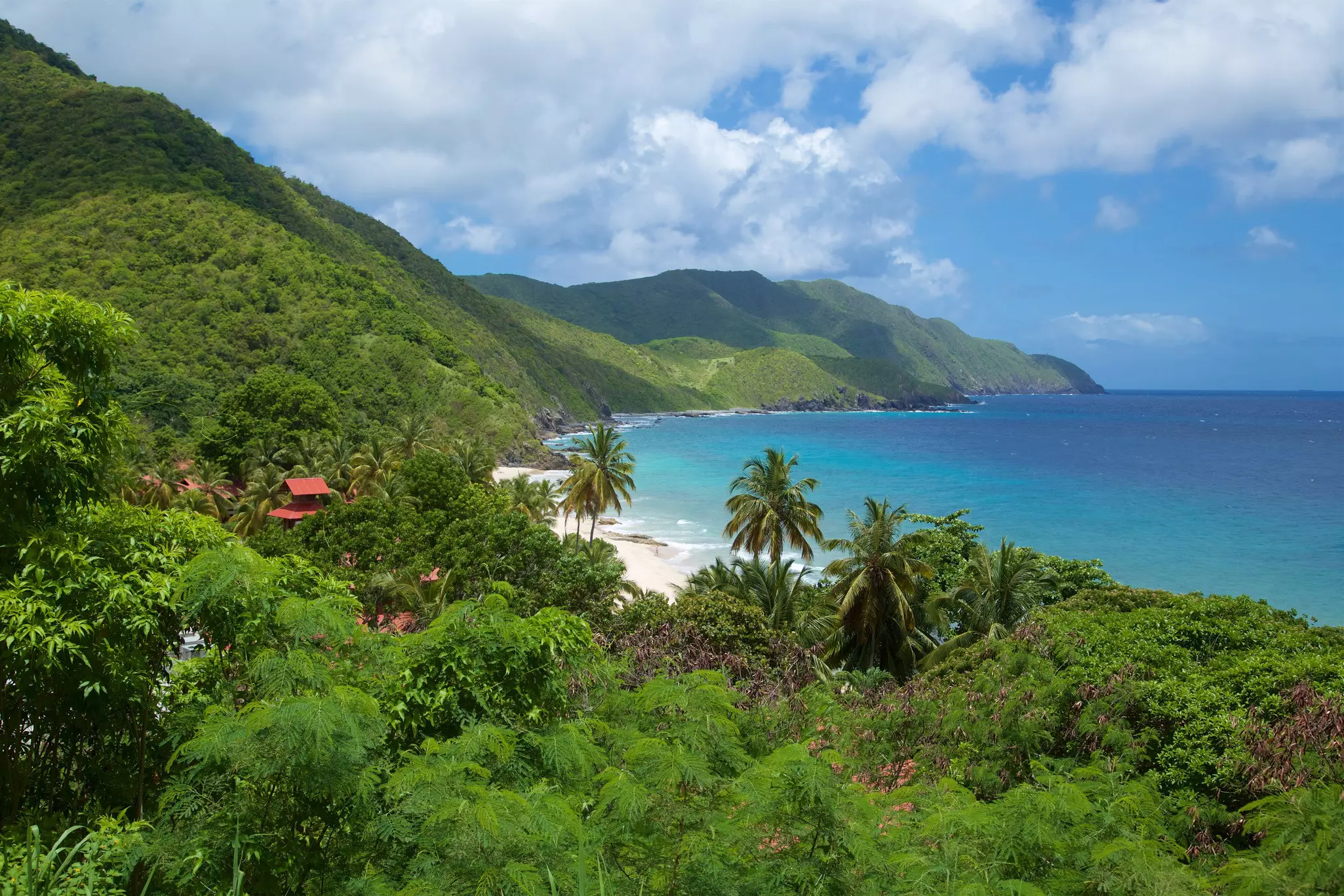 The green jungle-covered slopes of a Caribbean island meet the turquoise ocean